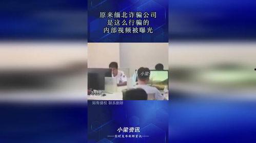 爆料诈骗视频最新,揭秘诈骗手法，守护您的财产安全  第2张