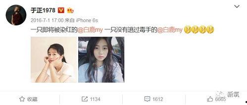 最新爆料白鹿的对家是谁,神秘角色引热议  第2张