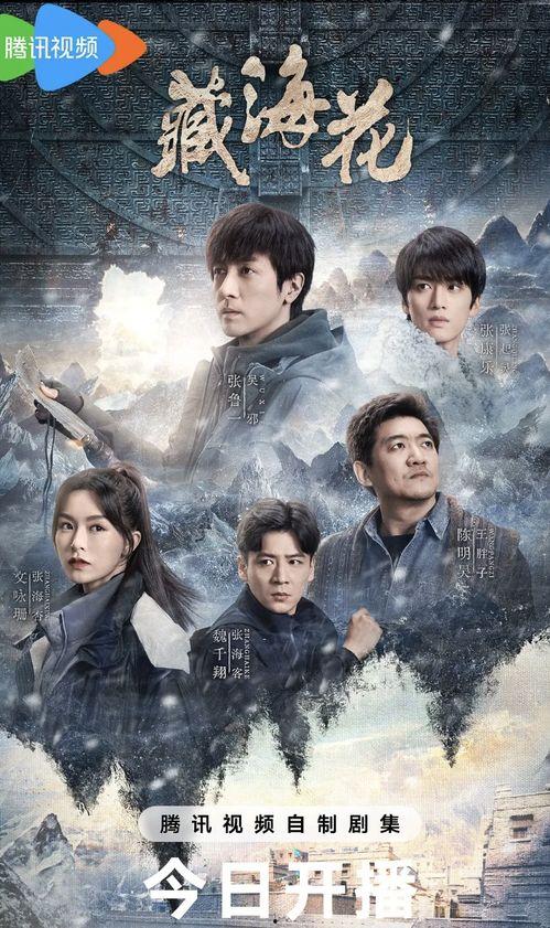 藏海花电视剧在线观看,探寻神秘古墓，揭秘千年宝藏之谜  第3张