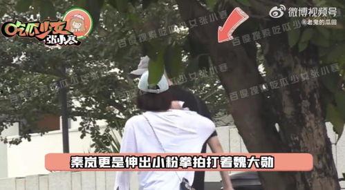 秦岚魏大勋爆料视频播放,幕后故事大揭秘  第2张