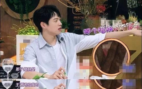 王源黑粉最新爆料视频在线观看,揭秘背后惊人真相  第3张 王源黑粉最新爆料视频在线观看,揭秘背后惊人真相  第3张