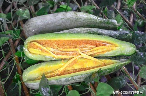 成县的吃瓜网红有哪些,瓜田里的“吃瓜”达人盘点  第2张 成县的吃瓜网红有哪些,瓜田里的“吃瓜”达人盘点  第2张