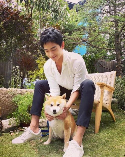 杨洋爆料视频最新消息,娱乐圈幕后真相大曝光  第3张 杨洋爆料视频最新消息,娱乐圈幕后真相大曝光  第3张