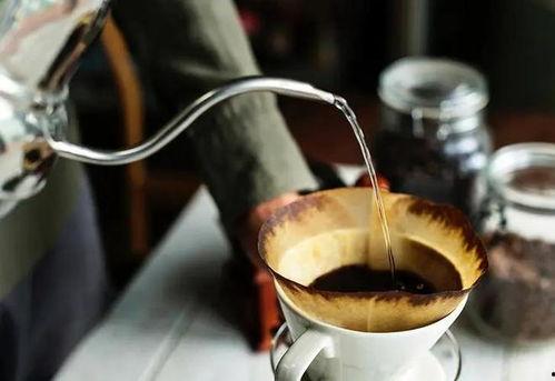 爆料视频 咖啡,从种植到冲泡的全程解析  第2张 爆料视频 咖啡,从种植到冲泡的全程解析  第2张