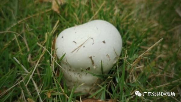 娱乐吃瓜酱买房送女朋友,甜蜜送女友惊喜大礼  第3张 娱乐吃瓜酱买房送女朋友,甜蜜送女友惊喜大礼  第3张